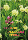 Copertina dell'audiolibro I colori della mia terra